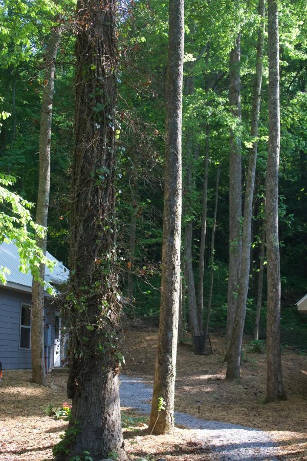 Villa Gingershack Farms Ellijay Exterior foto